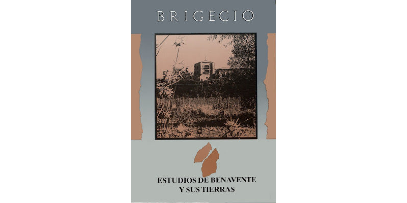 BRIGECIO. Revista de Estudios de Benavente y sus Tierras, 1 (1989), 308 pp. ISSN: 1697-5804
