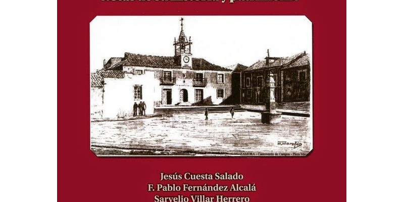 Castroverde de Campos. Notas de su historia y patrimonio.